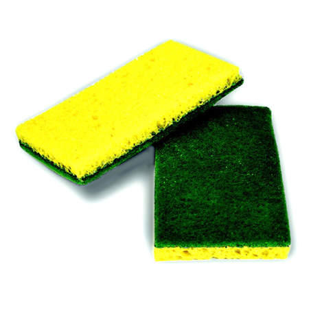 Sponges